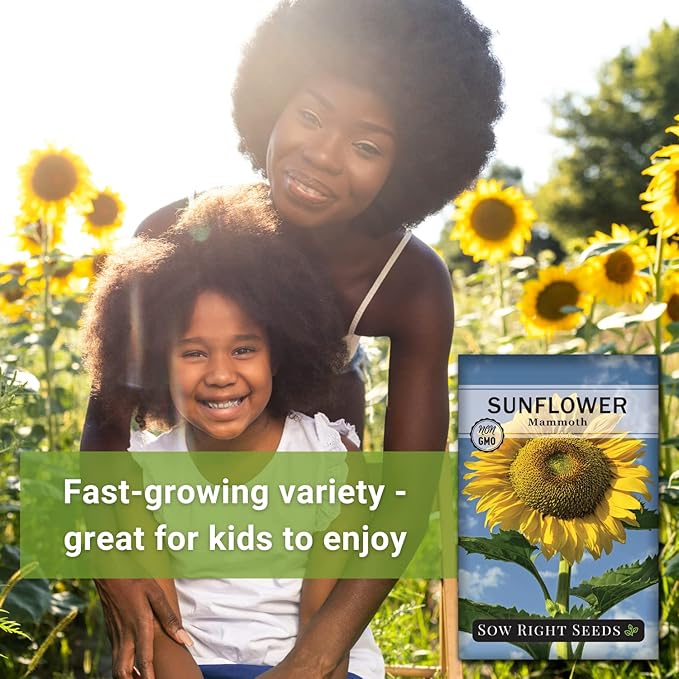 Sow Right Seeds - Mammoth Sunflower Seeds to Plant - Grow Giant Sunflowers in Your Garden - Non-GMO Heirloom Seeds for Planting an Outdoor Garden - Bright Yellow Blooms - Attract Bees and Birds (2)