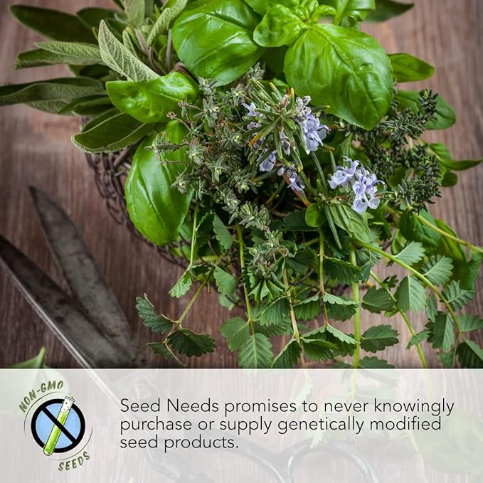 Seed Needs Bee Balm Seeds for Planting a Collection of Monarda Flowers - Heirloom & Open Pollinated Flower Seed to Plant an Outdoor Butterfly Garden (Includes Wild Bergamot, Horsemint & Lemon Mint)
