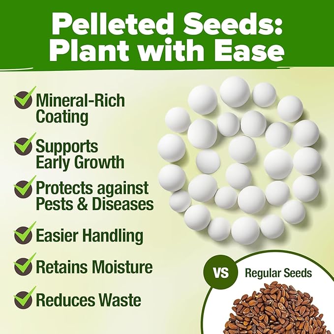 HOME GROWN Organic Herb Seeds Variety Pack - Non GMO, Heirloom 2,500+ High-Germinating Heirloom Seeds for Planting Indoor Outdoor Spring Herb Garden Hydroponics Garden Seeds, Basil Cilantro & More