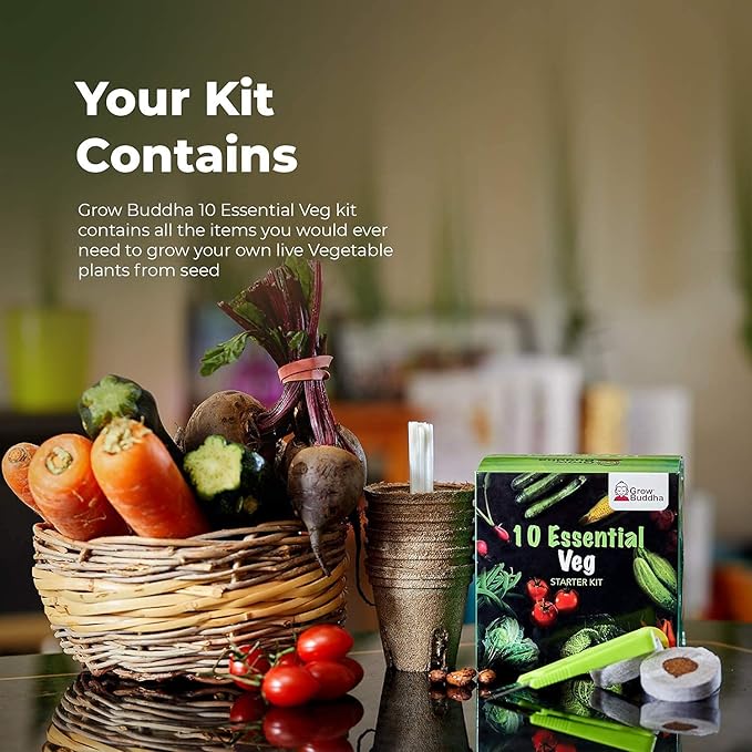 Vegetable Seeds Gift Set - Easily Grow Your Own 10 Vegetable Seeds Starter Kit | Beginner Friendly Vegetable Grow Kit - Unique Gift Idea