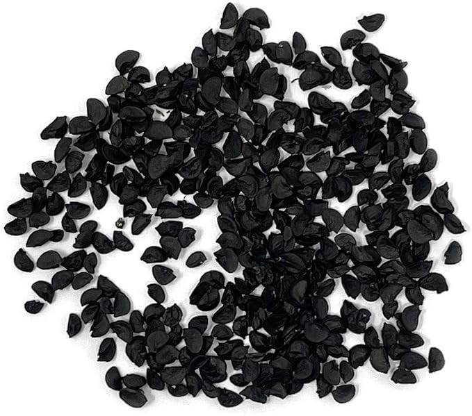 Organic Onion Seeds (Bunching Evergreen) - Approx 200 Seeds - USDA Organic, Non-GMO, Open Pollinated, Heirloom, USA Origin