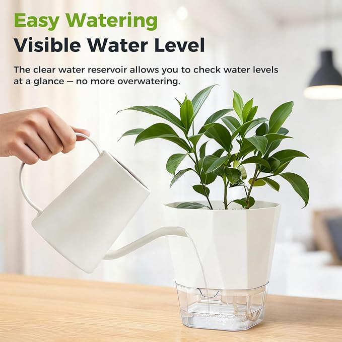 6 Pack Self Watering Pots for Indoor Plants, 5 Inches Self Watering Planters Small African Violet Self Watering Clear Pots for Plants Herb Orchid Flower Houseplant Pots, White