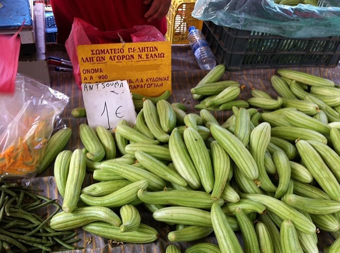 Seeds Rare Cucumber Armenian Long 70 Days Pickling Vegetable for Planting Heirloom Non GMO