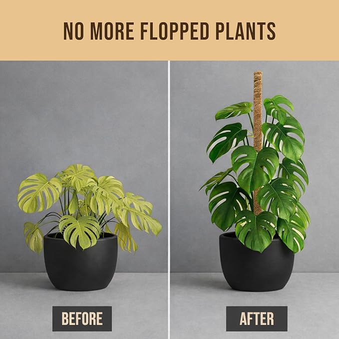 Moss Pole Monstera Plant Support – 48” Bendable Moss Pole Monstera Plant Support, Plant Stakes for Indoor Plants, Tall Plant Sticks Support for Climbing Plants