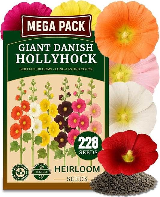 225+ Hollyhock Flower Seeds, Pack for 2026 USA Premium Non-GMO Carnival Mix Giant Hollyhock Seeds - Home Garden Flower Perennial