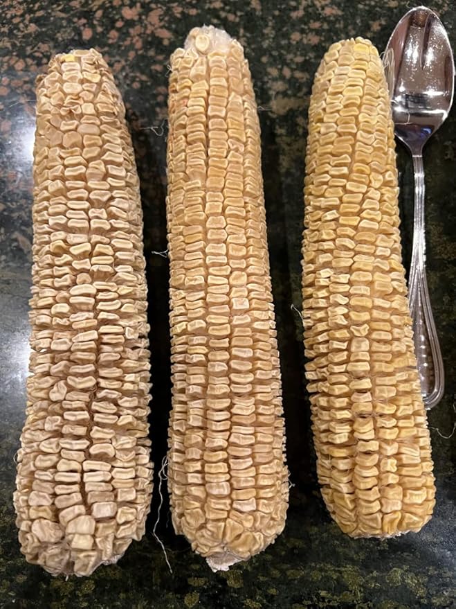 100% Organic, Silver, Hawaiian #9, Super, Sweet Corn, Heirloom, Open Pollinated, Non GMO