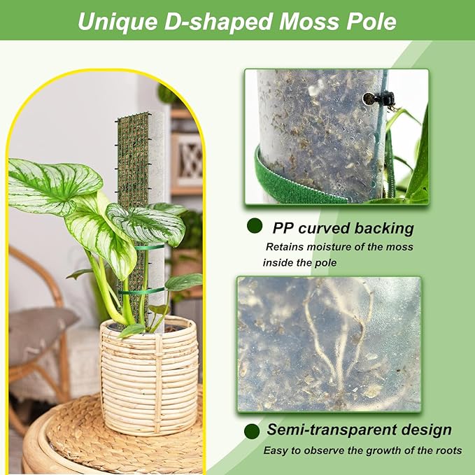 60"/40"/24" Metal Moss Pole, D Shape Sphagnum Moss Pole, Moss Poles for Climbing Plants, Monstera, Indoor Climbing Plants (4Pcs 24")