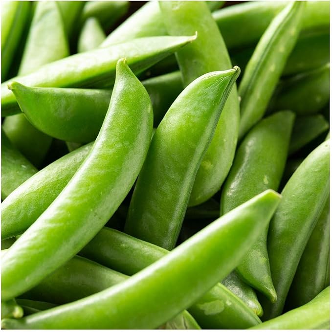 Everwilde Farms - 1 Lb Organic Sugar Daddy Pea Seeds - Gold Vault Packet