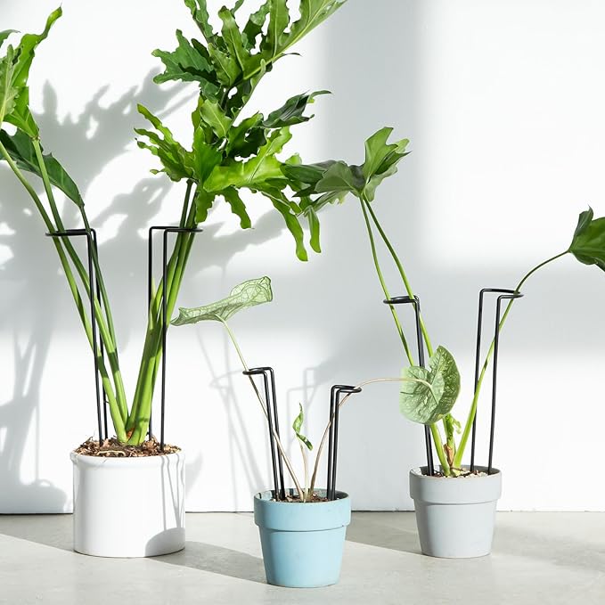 10-Pack Monstera Plant Support - 12 Inch Durable Iron U-Shaped Trellis Stakes for Indoor & Outdoor Medium-Sized Potted Plants - Perfect Stem Holder for Monstera & More