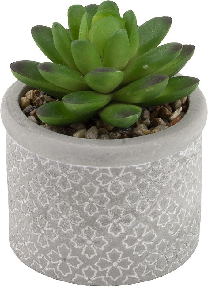 Boston International Decorative Faux Succulent Plants, Set of 6, Society of Succulents