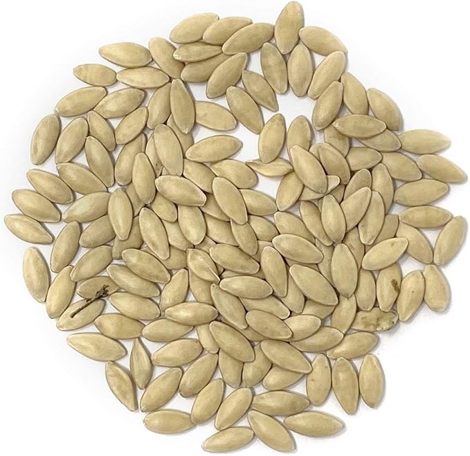 Organic Cucumber Seeds (Marketmore 76) - Approx 100 Seeds - USDA Organic, Non-GMO, Open Pollinated, Heirloom, USA Origin
