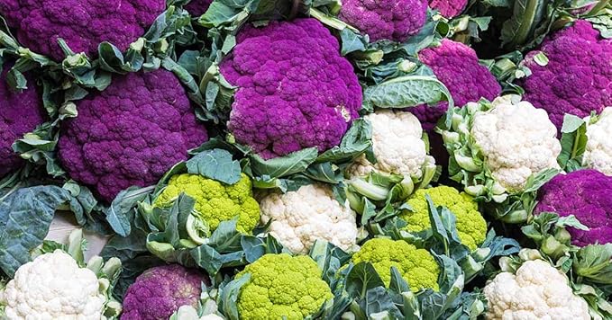 Seeds Cauliflower Mix Cabbage Heirloom Vegetable for Planting Non GMO