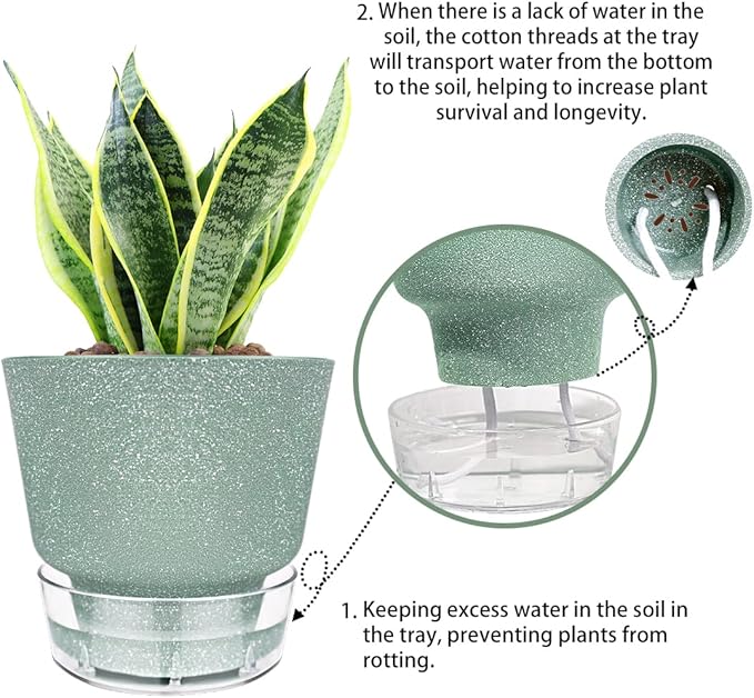 Green Self Watering Plant Pots - 6" Planters for Indoor Plants - Pack of 5 Flower Pots - Plant Pots with Drainage Hole and Tray Saucer (Frosted Dark Green)