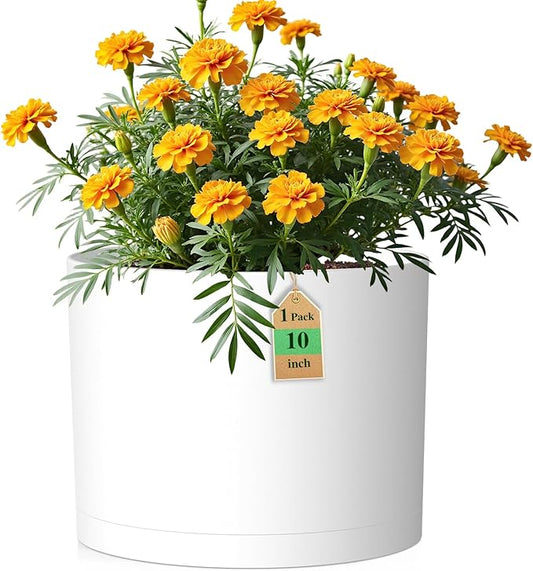 10 Inch Round Plastic Plant Pot with Drainage Holes and Saucer, Wide Flower Pots for Indoor & Outdoor Plants– 7.9" Tall Modern Cylinder Planter Pot for House Plants and Home Decorative, Matte White
