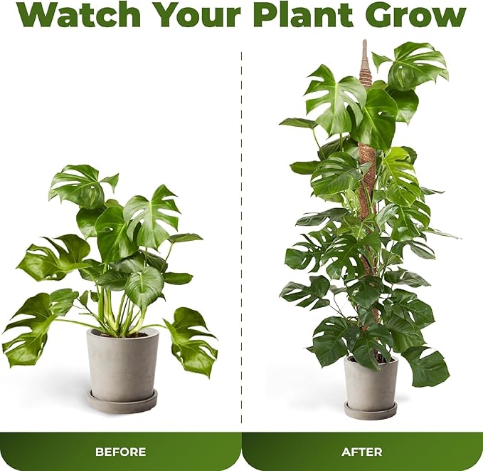 48 Inch Bendable Moss Pole Monstera Plant Support for Climbing Indoor Plants - Stakes for Potted Climbers - Tall Sticks Indoor Trellis for Houseplants - Accessories for Monstera Pot