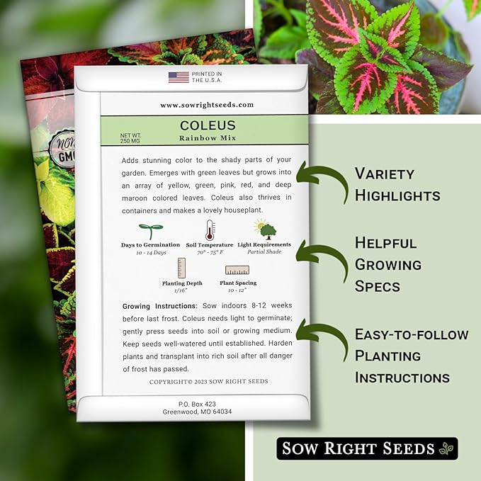 Sow Right Seeds - Rainbow Mix Coleus Seeds for Planting - Non-GMO Heirloom Variety - Vibrant Tropical Plant Blooms - Ideal for Gardeners, Easy to Grow - Indoor/Outdoor Use - Colorful Foliage (1)