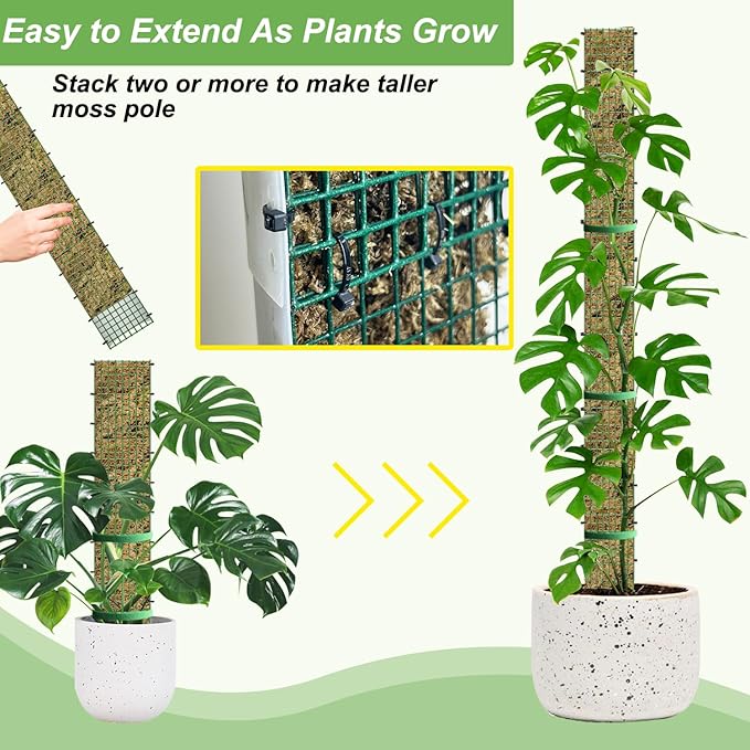 60" Metal Moss Pole, D Shape Sphagnum Moss Pole, Moss Poles for Climbing Plants, Monstera, Indoor Climbing Plants (4Pcs 60")
