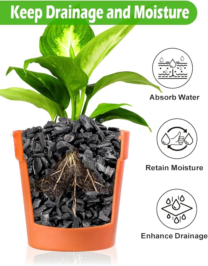 TOYPOPOR Horticultural Charcoal for Indoor Plants Hardwood Potting Soil Amendment Helps Improve Drainage for Orchids, Succulent, Cactus, Terrariums, and Gardening 1Quart