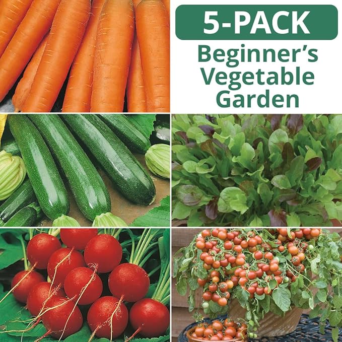 Beginner Vegetable Garden Seed Collection, 5-Pack Variety Kit Contains 2,575 Seeds, Easy to Grow Food, Live Plants | Lettuce Mix, Nantes Carrot, Scarlet Globe Radish, Cherry Tomato, Zucchini