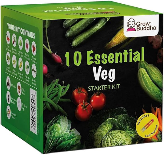 Vegetable Seeds Gift Set - Easily Grow Your Own 10 Vegetable Seeds Starter Kit | Beginner Friendly Vegetable Grow Kit - Unique Gift Idea