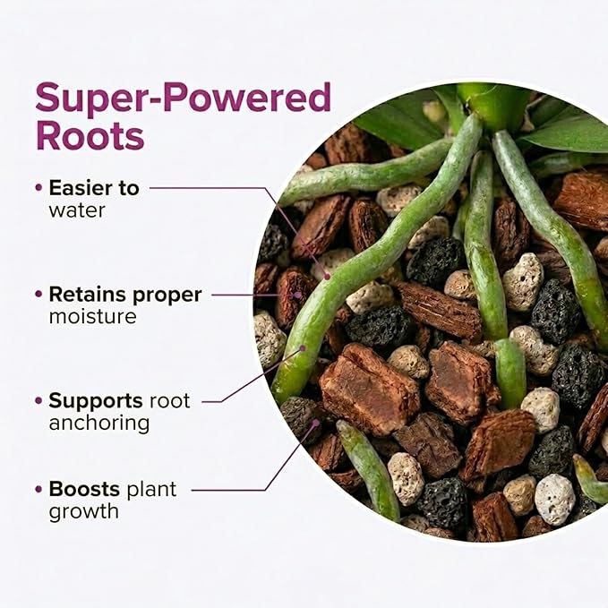 Molly's Orchid Potting Mix - Premium Gritty Soilless Orchid Mix - Chunky High Drainage vs Standard Potting Soil for Indoor Plants - Contains Bark, Coco Chips, Akadama, Pumice, Lava Rock 5 Dry Quarts