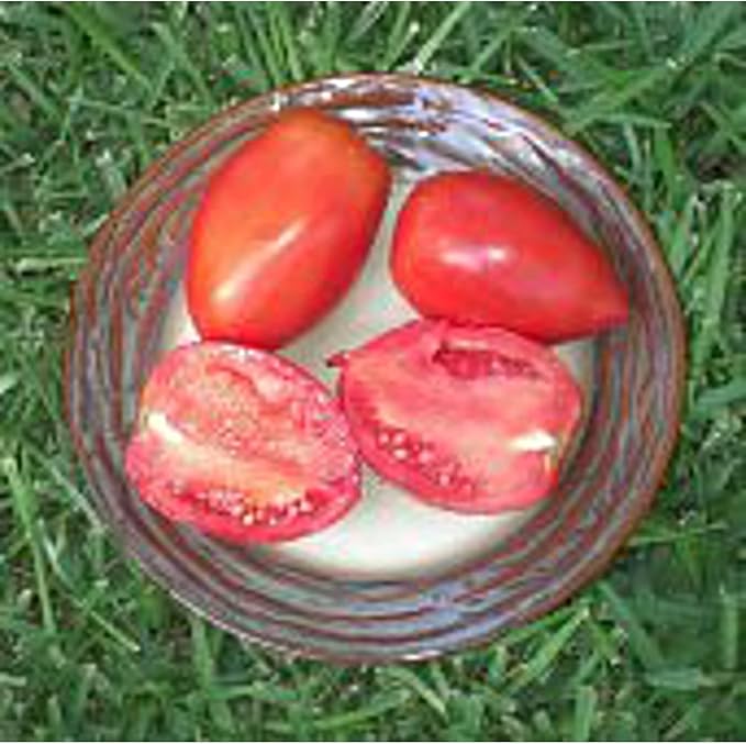 Kenosha Tomato Seeds (20+ Seeds) | Non GMO | Vegetable Fruit Herb Flower Seeds for Planting | Home Garden Greenhouse Pack
