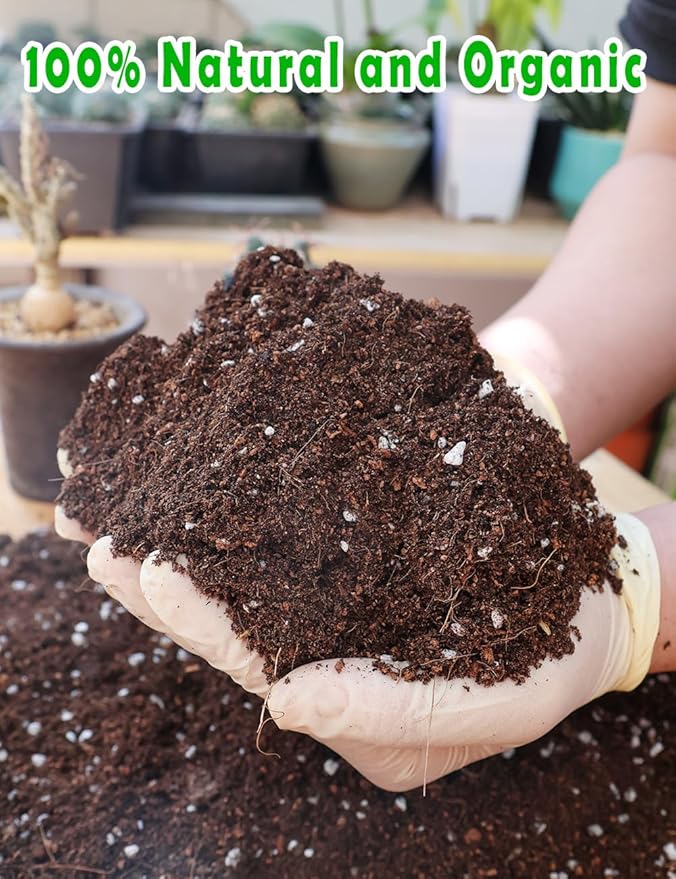 TOYPOPOR Potting Soil for All Indoor Houseplants, (3qt) Contains Perlite, Peat Moss, Coco Coir and Rice Charcoal, Well Draining Potting Mix Light, Aerated Texture for Healthy Plant Roots, Fast Growth