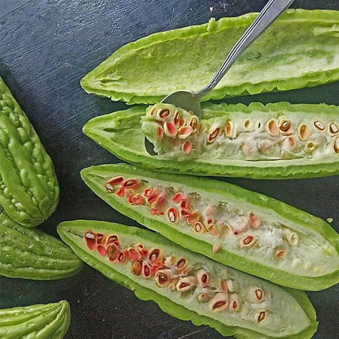 30+ Bitter Melon Seeds Organic for Planting-Bitter Gourd Seeds Vegetable Herb Seed Non-GMO Heirloom for Home Outdoor Garden