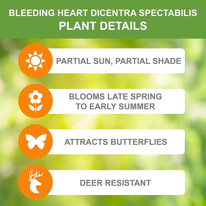 Garden State Bulb Bleeding Heart Dicentra Spectabilis Bare Roots, Spring (Bag of 18)