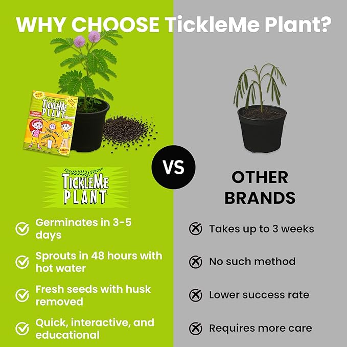 TickleMe Plant® Birthday Party Favors (2-Pack) – Touch It & Watch It Move! | Sensitive Plant Kids Grow Kit | Fun Interactive Indoor Gardening Gift for Kids, Classroom, STEM Activity