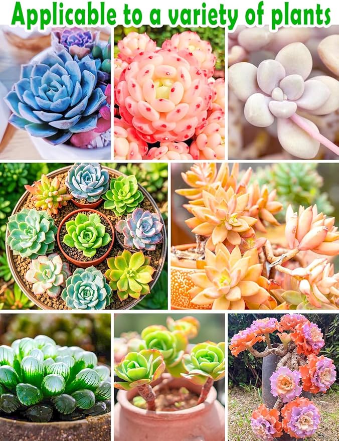 TOYPOPOR Succulent Soil, Cactus Potting Mix 7.5 Pounds/6QTS, High Drainage, Pre-Mixed Ready to Use for All Succulent Varieties, Indoor Plants, Bonsai, Terrarium, Houseplant, 30% Particles 70% Soil