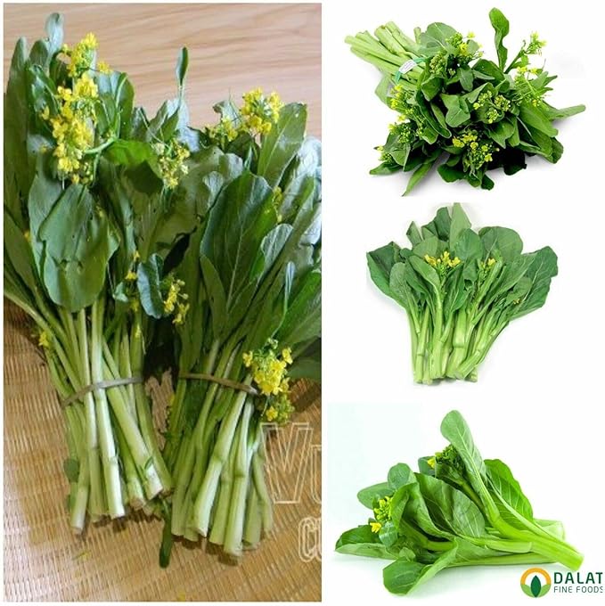 2000+ Seeds Brassica Juncea Choy Sum Mustard Yu Choy Sum Seeds, USA Chinese Broccoli Scallion Chive Asian Vegetable, Cải NGỌt ăn bông (Cải Ngồng)