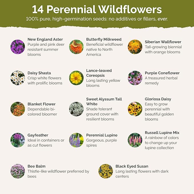 Eden Brothers Northeast All Perennial Wildflower Mixed Seeds for Planting, 5 lb, 2,400,000+ Seeds with Milkweed, NE Aster | Attracts Pollinators, Plant in Spring or Fall, Zones 3, 4, 5, 6, 7, 8, 9, 10