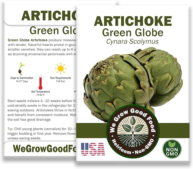 Seeds Artichoke Green Globe Heirloom Variety – Organic, Non-GMO, Perennial Vegetable for Garden and Raised Beds – Includes Instructions – USA Grown