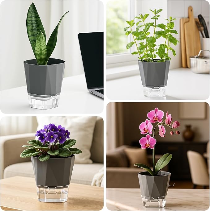 10 Pack Self Watering Pots for Indoor Plants, 6.7 Inches Self Watering Planters African Violet Pots Clear Pots for Herb Orchid Flower Houseplant, Dark Grey