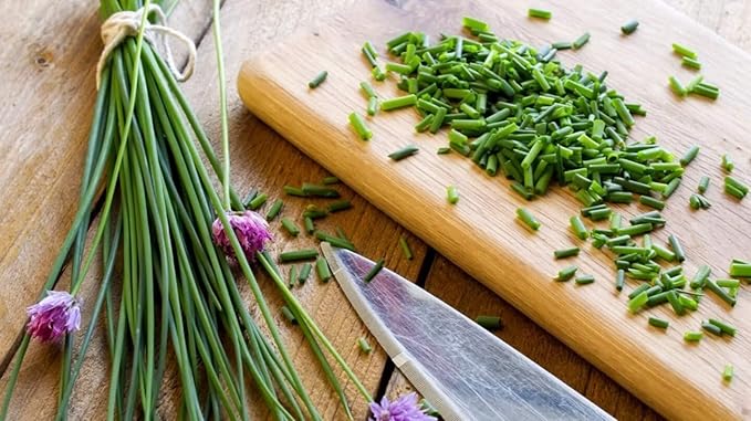 400+ Seeds Garlic Chives Onion - Vegetable Green