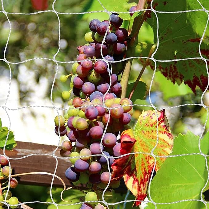 Tcamp Trellis Netting for Climbing Plants Outdoor Indoor (6" Square Mesh Ployester, 5ft x 15ft) (2 Pack)
