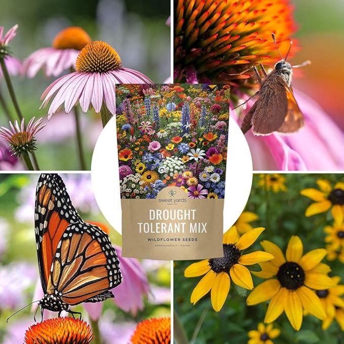 Drought Tolerant Wildflowers Mix – Bulk 1 Pound Bag – Over 120,000 Open Pollinated Non-GMO Seeds – 21 Different Dryland Species