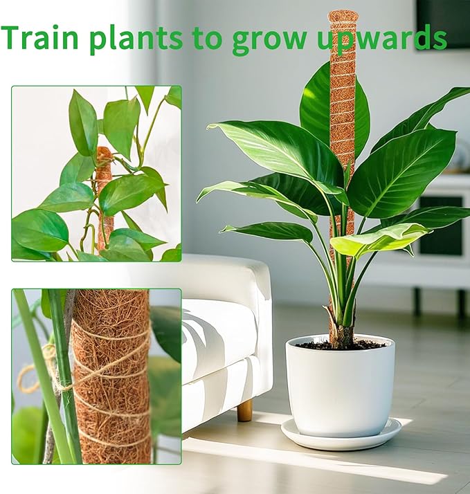 2 Pack 60 Inch Moss Pole Monstera Plant Support, Coir Moss Poles for Climbing Indoor Plants, Bendable Plant Stake Trellis for Potted Plant, Pothos, Philodendron