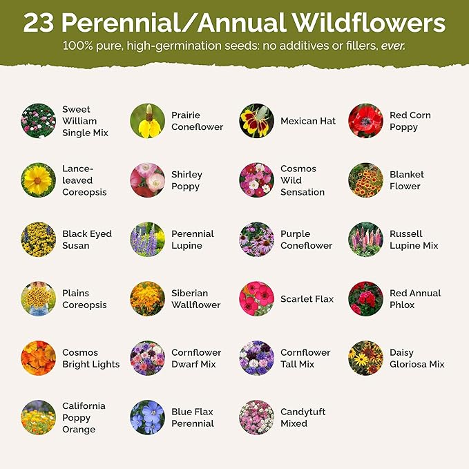 Eden Brothers Michigan Wildflower Mixed Seeds for Planting, 5 lb, 2,400,000+ Seeds with Cornflower, Sweet William, Cosmos | Attracts Pollinators, Plant in Spring or Fall, Zones 3, 4, 5, 6, 7, 8, 9, 10