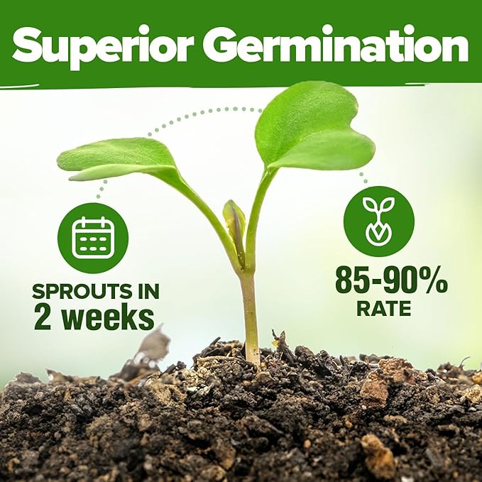 HOME GROWN 25 Herb Seeds for Planting 8,700+ Non-GMO Heirloom Seeds | Extra Large Variety Pack Herb Kit – Indoor Outdoor & Hydroponic | Culinary Seed Set | Grow Your Own Herbs | Gardening Gift