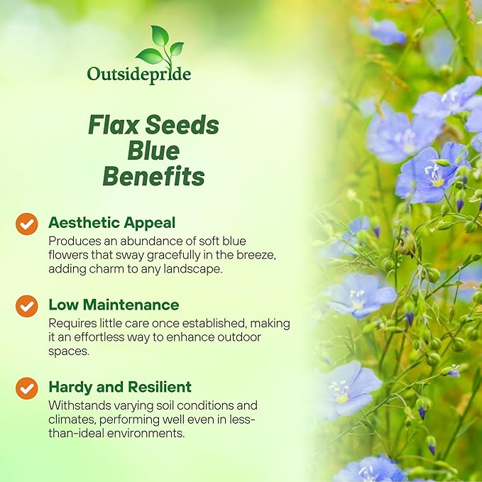 Outsidepride Blue Flax Seeds - 1/4 lb Perennial Flower Seeds for Planting, Self-Seeding, Drought-Tolerant w/Compact Growth, Ideal for Small Gardens, Meadows, Borders, or Mass Plantings