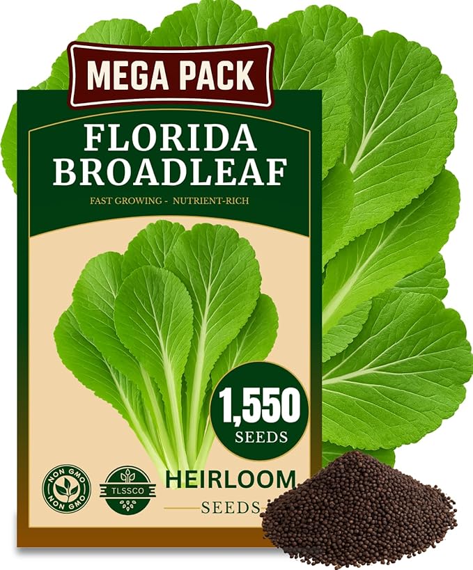 1500+ Florida Broadleaf Mustard Seeds for Planting, Packed for 2026 Non-GMO Seeds – Fast Growing, Heat and Cold Tolerant – High-Yielding, Heirloom Seeds