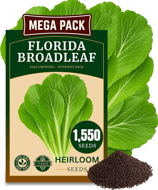 1500+ Florida Broadleaf Mustard Seeds for Planting, Packed for 2026 Non-GMO Seeds – Fast Growing, Heat and Cold Tolerant – High-Yielding, Heirloom Seeds