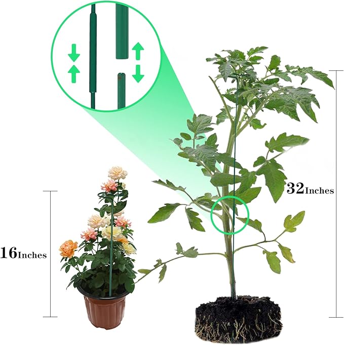 12 Pack Plant Stakes,Plant Support Stakes for Two Sizes(16 or 32 Inches),Plant Stakes for Outdoor Plants,Garden Flower,Tomato(Green)