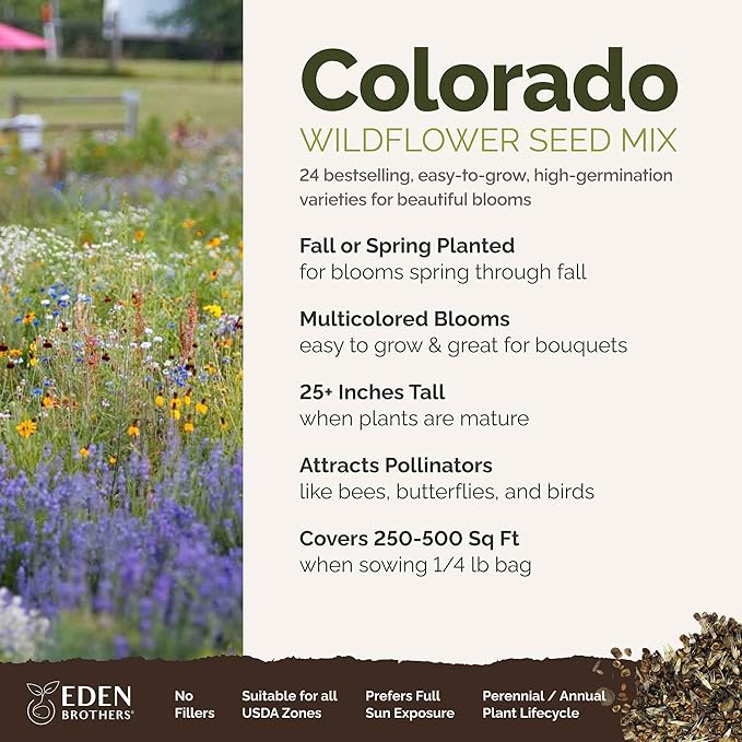 Eden Brothers Colorado Wildflower Mixed Seeds for Planting, 1/4 lb, 120,000+ Seeds with Cornflower, Lupine | Attracts Pollinators, Plant in Spring or Fall, Zones