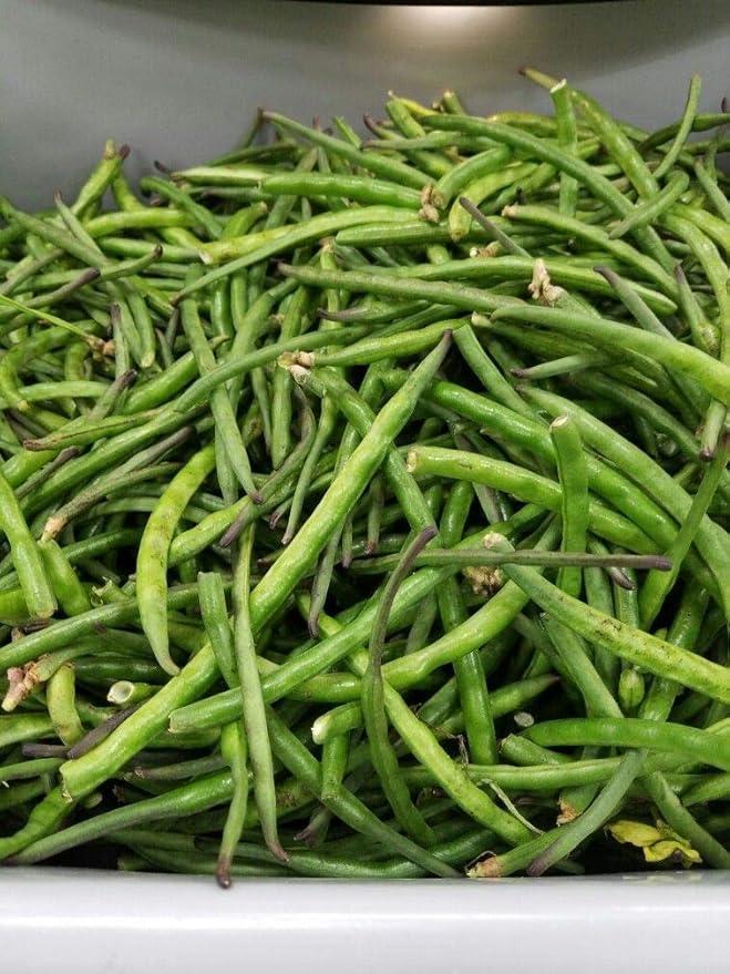 25 Seeds Desi Chori Seeds, No Vines, Shrub Style chori, Indian Beans, Non-GMO, Organic