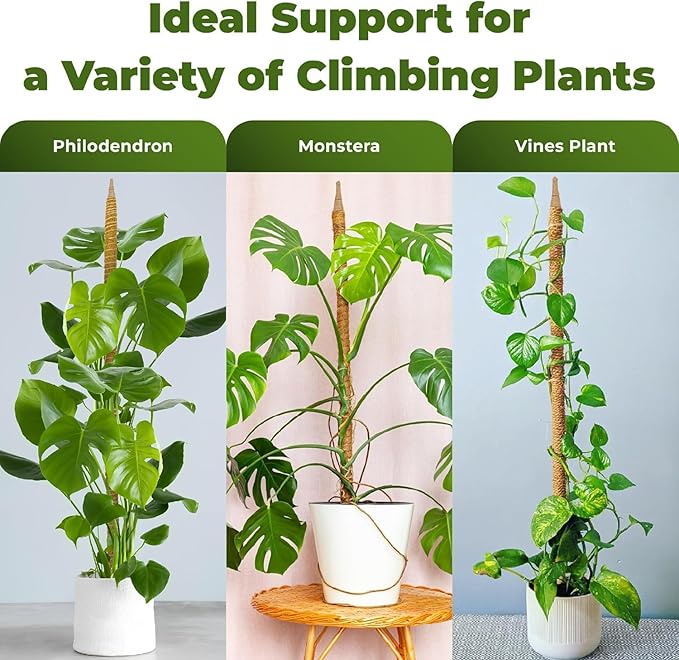 48 Inch Bendable Moss Pole Monstera Plant Support for Climbing Indoor Plants - Stakes for Potted Climbers - Tall Sticks Indoor Trellis for Houseplants - Accessories for Monstera Pot
