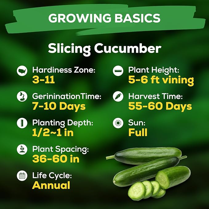 Heirloom 200+ Organic Fruivity Slicing Cucumber Seeds - Heirloom, Non-GMO Seeds for Planting, High Yield, Disease Resistant, for Trellis, Raised Bed & Container Garden