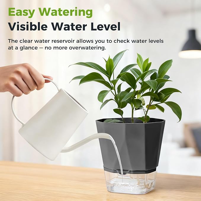 2 Pack Self Watering Plant Pots 8.4" Self Watering Planters for Indoor and Outdoor Plants African Violet Self Watering Clear Pots for Plants Large Herb Orchid Flower Houseplant Pots, Dark Grey